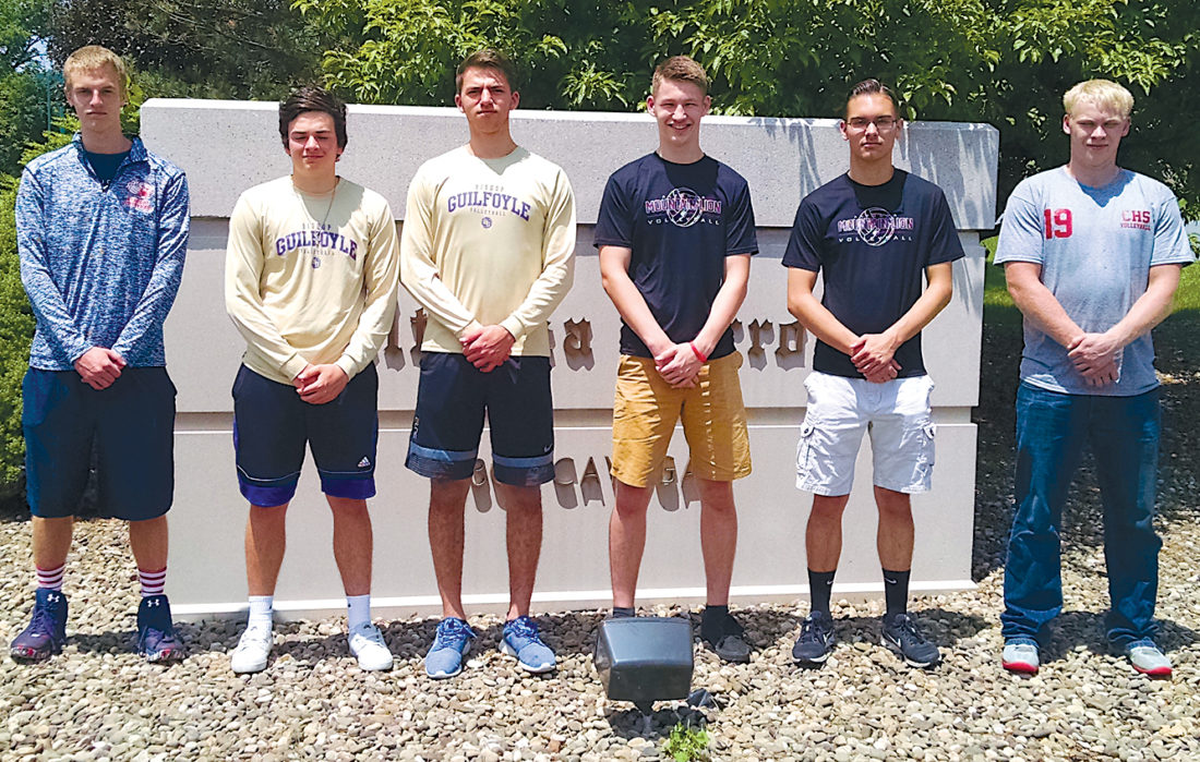 Mirror boys volleyball allstars News, Sports, Jobs Altoona Mirror